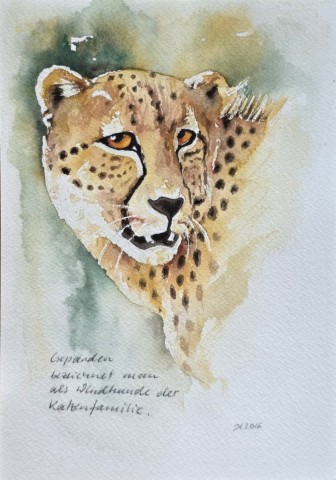 Aquarellbild eines Gepards vor weissem Hintergrund